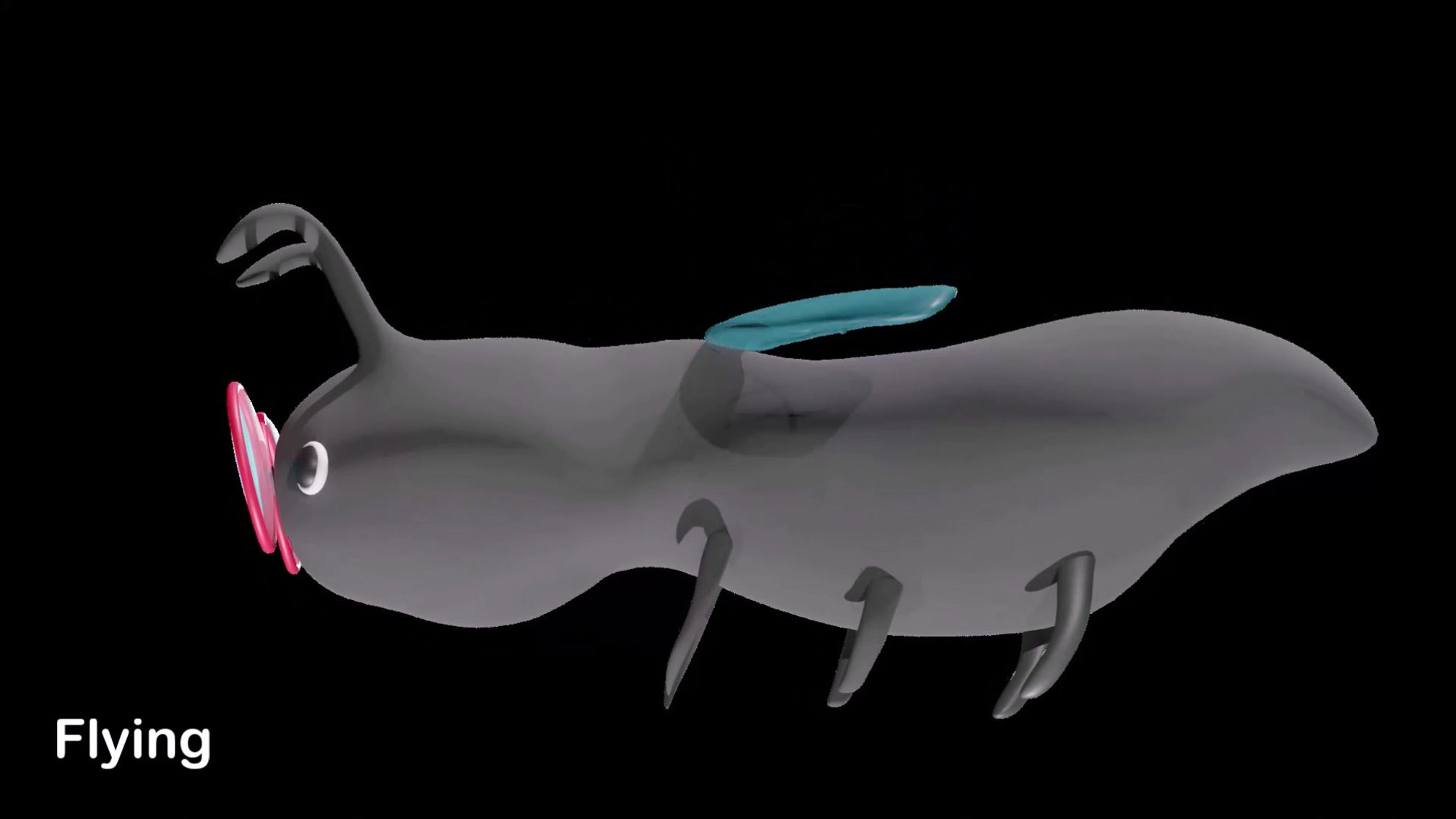 Black Soldier Fly Animations